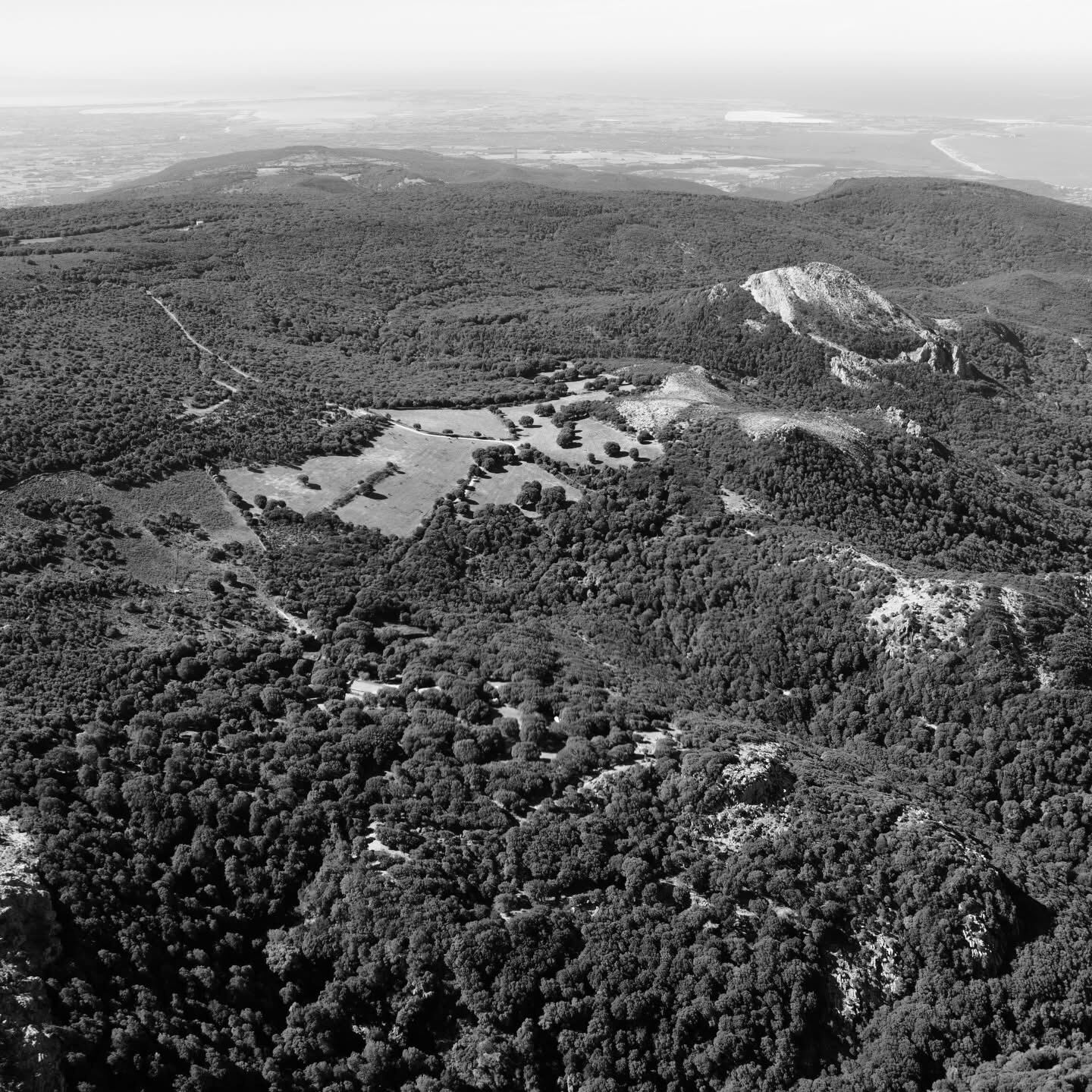 Foresta del Montiferru · panoramica verso il mare
